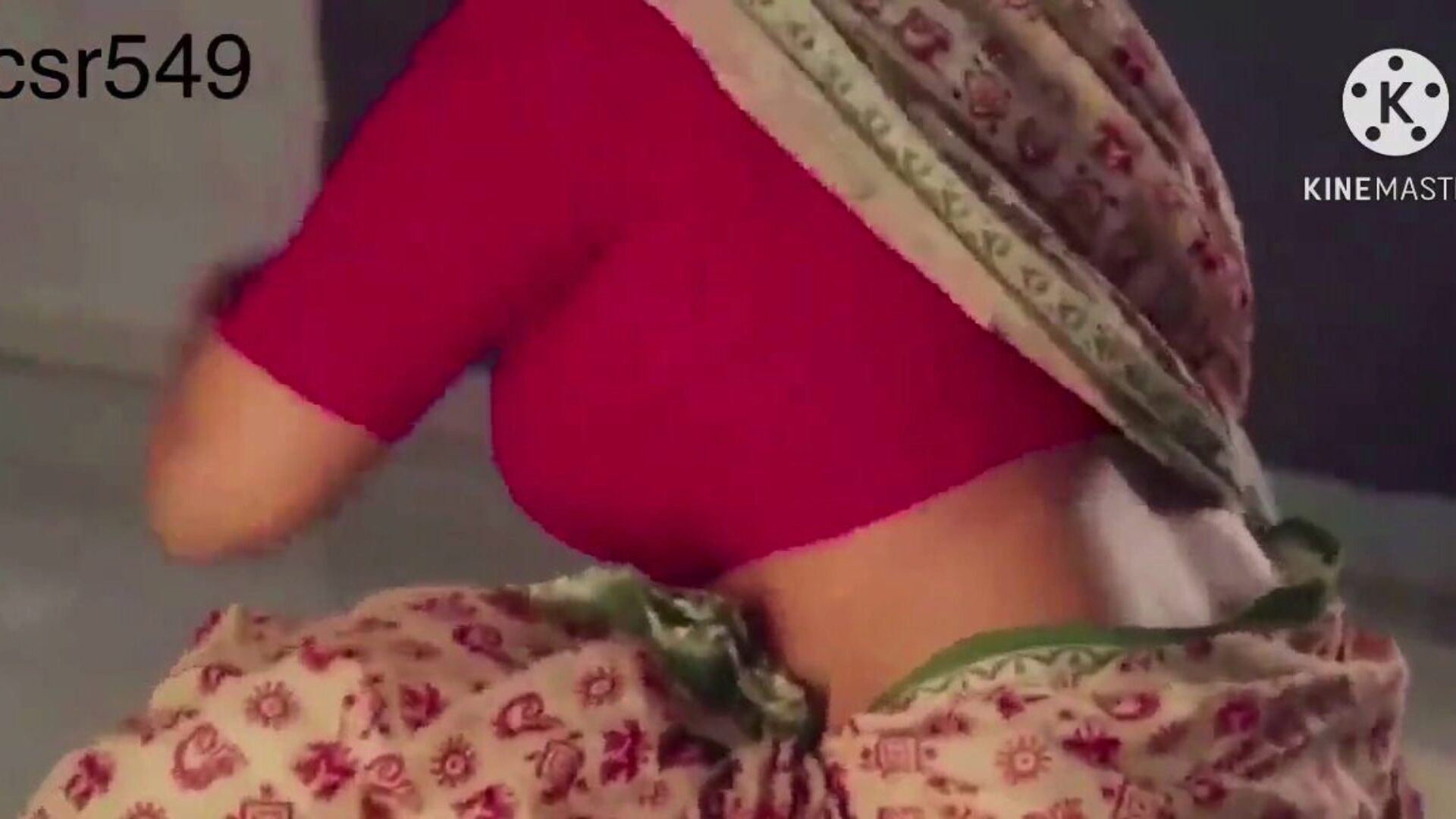 Indian women in saree having sex