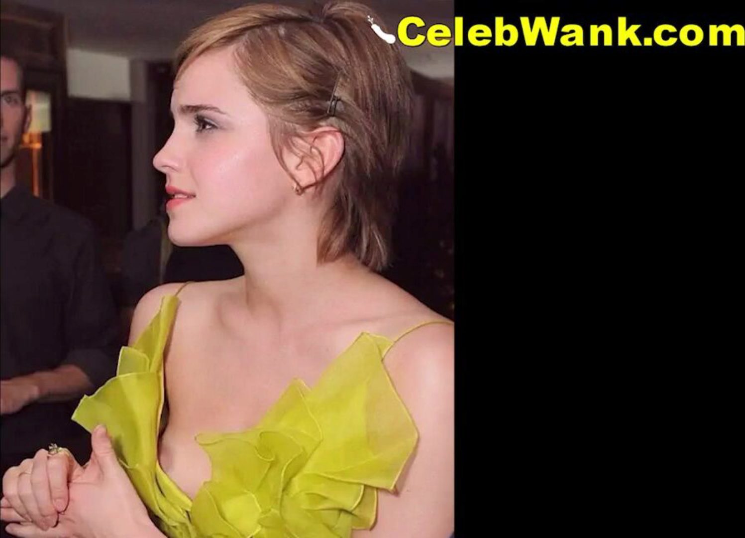 1497px x 1080px - Emma Watson Boob Slip - XXX BULE