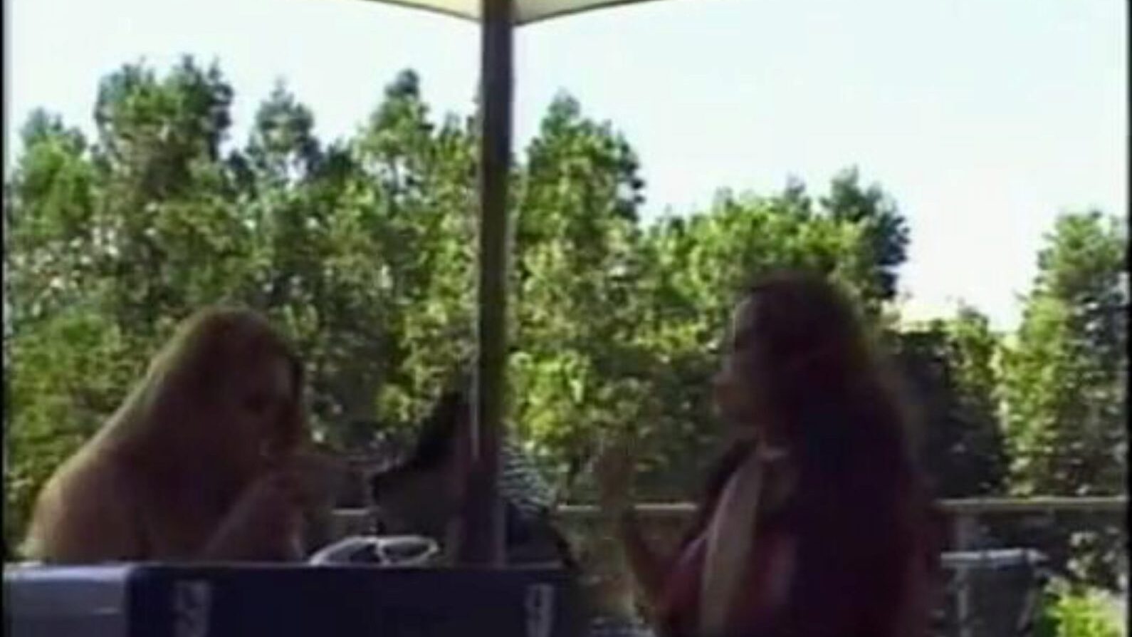 Donita Dunes in a Lez episode