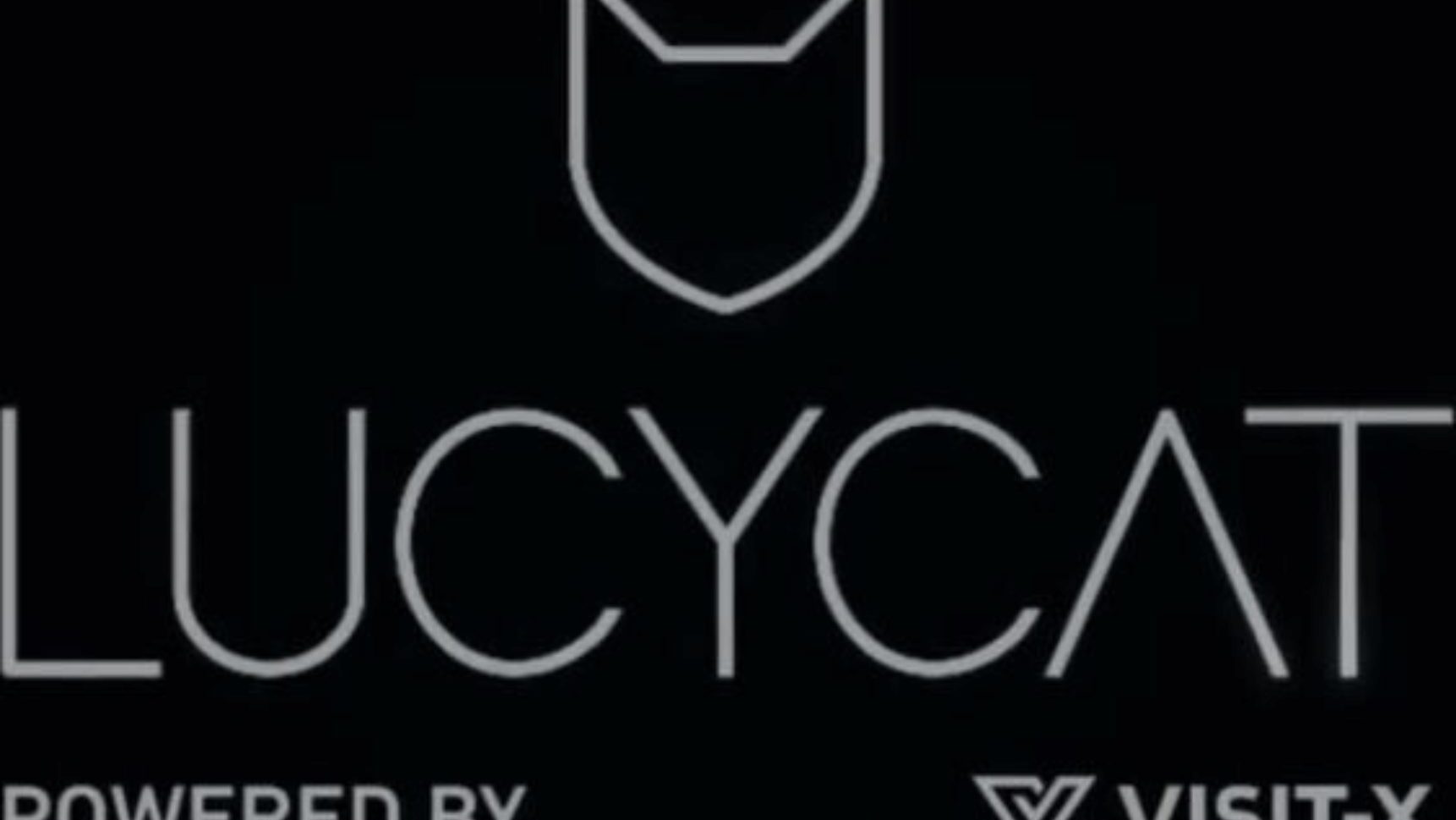 interaktive wichs utfordring - Lucy Cat